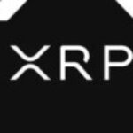 Profile picture of KingdomCrypto